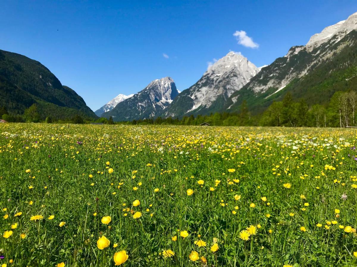 Apartmán Obern 41 Leutasch Exteriér fotografie